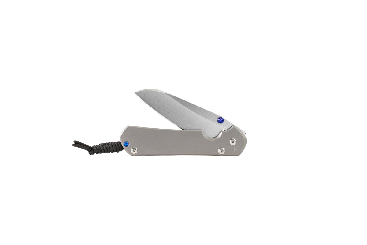 Sebenza 31 Plain Insingo – Chris Reeve Knives