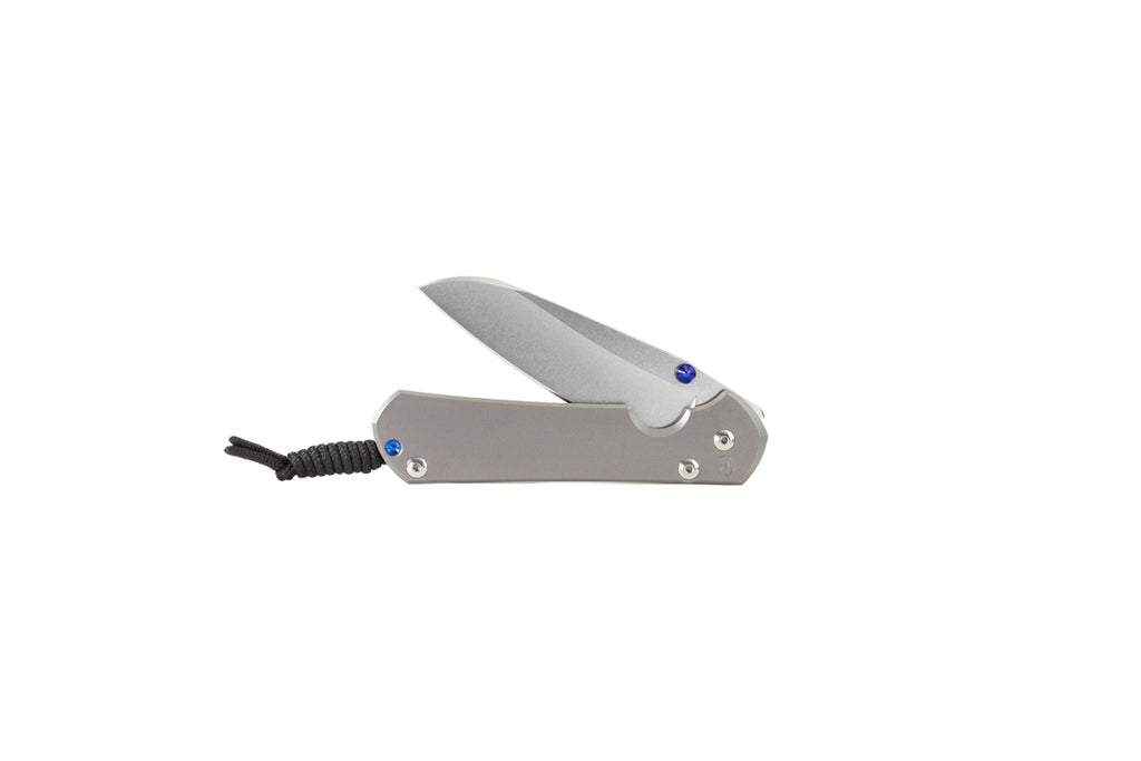 Sebenza 31 Plain Insingo – Chris Reeve Knives
